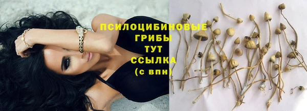 амф Абинск