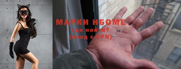 гидра Абаза