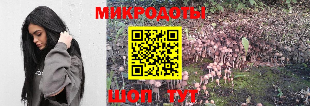 Галлюциногенные грибы Psilocybine cubensis Алапаевск