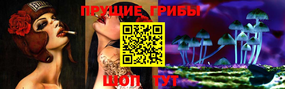 Алапаевск  Галлюциногенные грибы MAGIC MUSHROOMS  Вход с VPN  Псилоцибиновые грибы мухоморы 